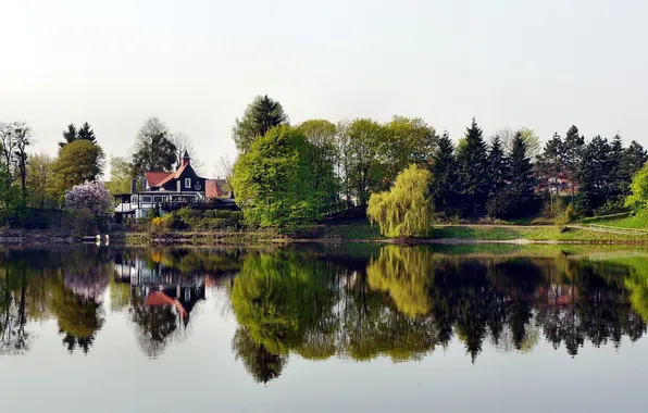 Greens, water, nature, the city, lake, house, pond, reflection