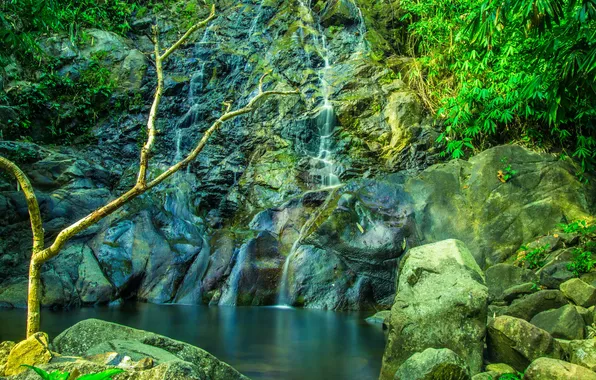 Greens, stones, waterfall, Thailand, Khuekkhak