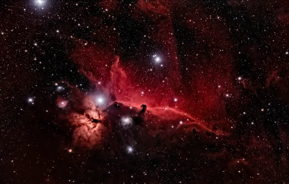 Space, stars, Horse Head