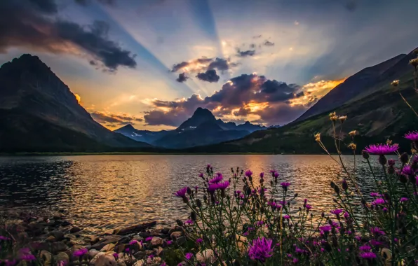 Clouds, rays, landscape, flowers, nature, beautiful