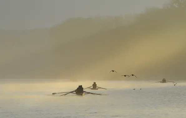 Fog, river, boats, morning