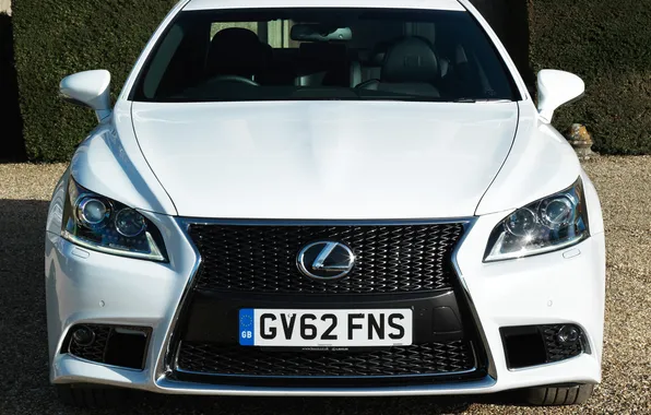 Picture lights, logo, Lexus, the hood, car, the front, F-Sport, LS 460