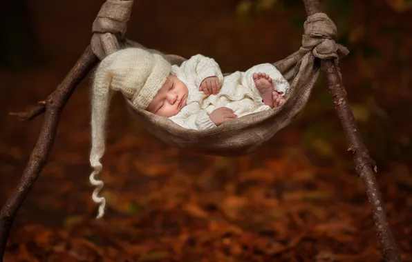 Picture sleep, hammock, baby