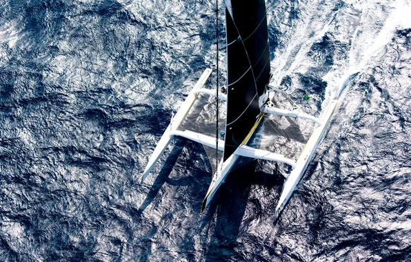 Sea, movement, sails, swimming, sports trimaran, cool sports yachts, the latest developments in sailing, Coolest …