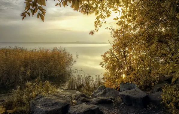 Autumn, landscape, nature, lake