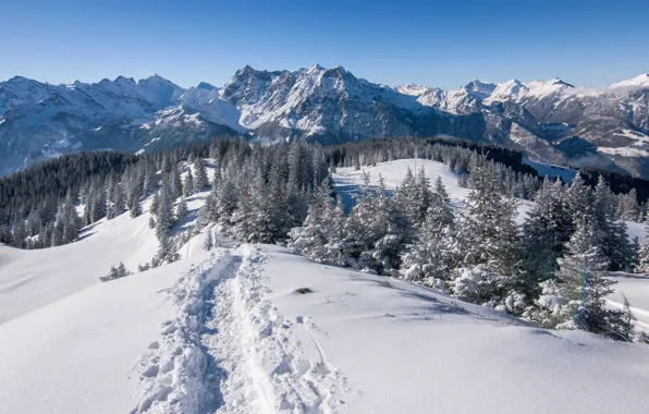 Winter, snow, trees, mountains, Switzerland, Alps