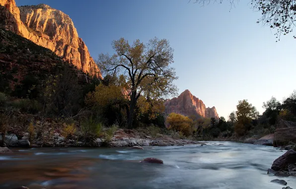 Summer, trees, mountains, river