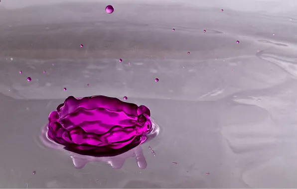 Water, drops, circles, squirt, purple