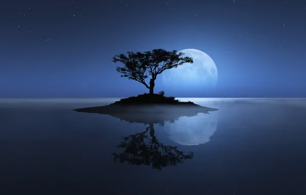 Sea, the sky, tree, the moon, island