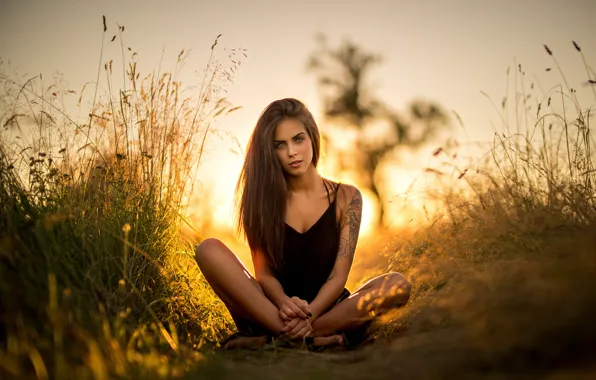 Picture field, grass, look, girl, pose, sweetheart, portrait, tattoo
