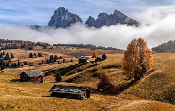 Picture nature, Dolomite Alps, Foggy autumn
