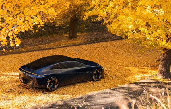 Picture car, Infiniti, autumn, 2023, Infiniti Vision Qe