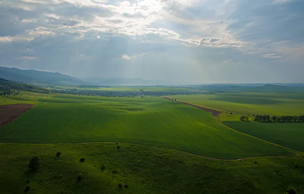Picture field, beauty, valley, horizon, space, the rays of the sun, summer day, Vyacheslav Tatarkin