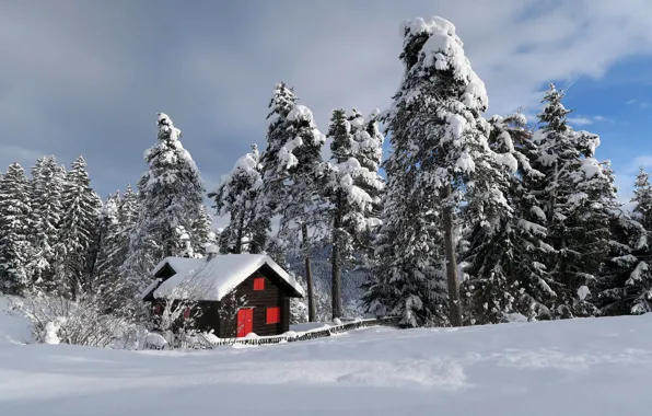 Picture winter, snow, house