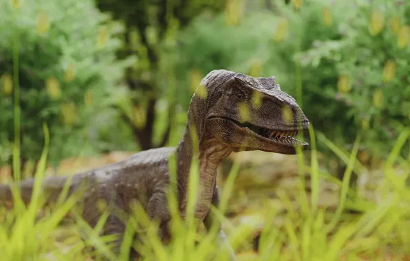 Raptor, nature, dinosaur, 4K