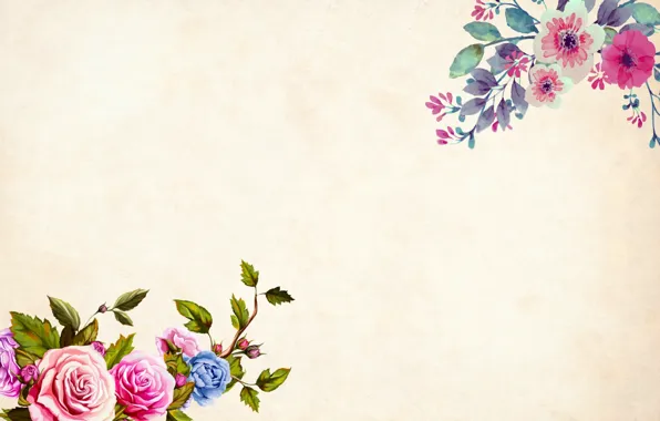 Picture flowers, background, postcard, template, blank