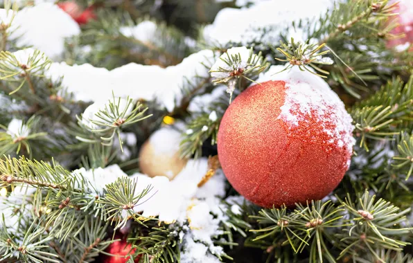 Winter, balls, snow, branches, red, ball, ball, Christmas