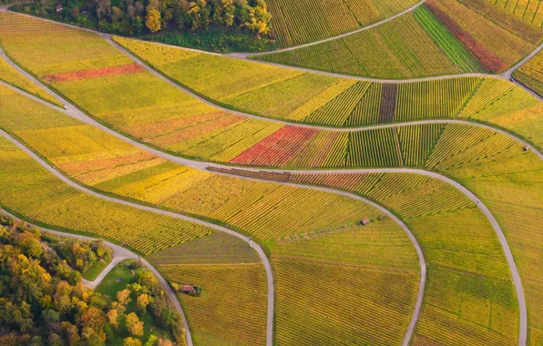 Field, road, Germany, Germany, the vineyards, Baden-Württemberg, Baden-Württemberg, Vineyards
