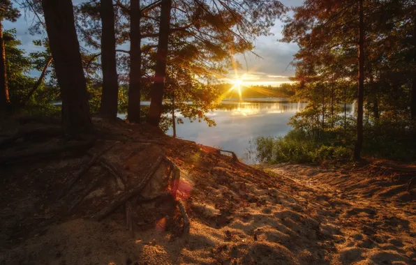 Picture the sun, trees, sunset, river