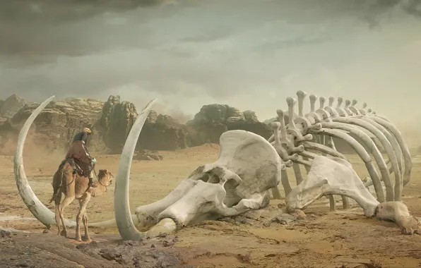 Desert, art, camel, skeleton, mammoth, tusks, giant, Bedouin