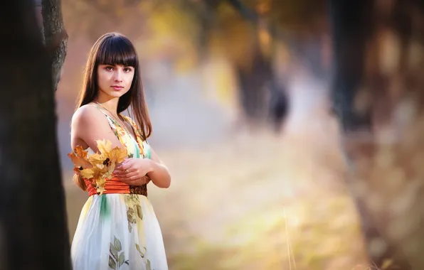 Picture FOREST, LOOK, LEAVES, BROWN hair, AUTUMN, SUNDRESS