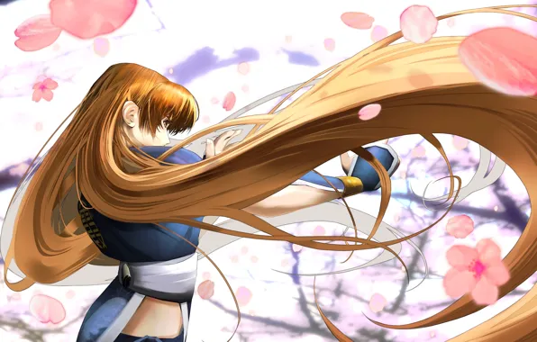 Sakura, red, flowering, long hair, Profit, Dead or Alive, DoA Girls