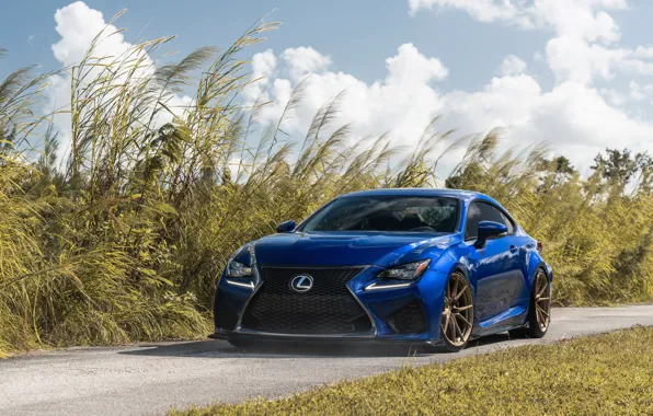 Lexus, Lexus, Lexus RC F