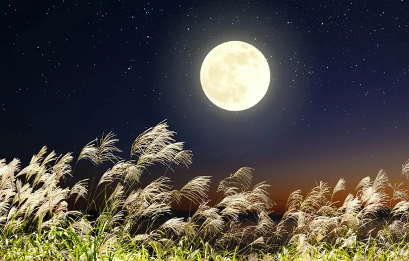 Light, moon, sky, landscape, japan, nature, night, background