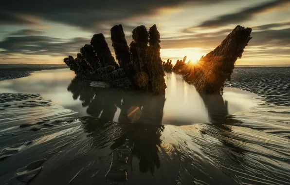 Sand, sea, water, rays, algae, sunset, shore, Board