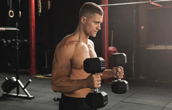 Muscle, muscle, man, press, pose, dumbbells, gym, bodybuilder