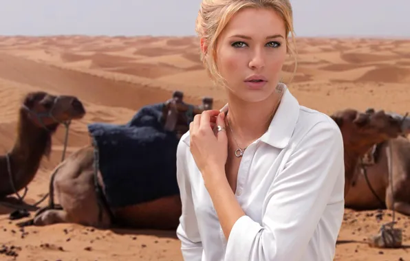 Picture look, girl, desert, portrait, camels