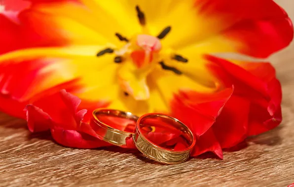 Flower, holiday, wedding, engagement rings