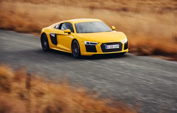 Car, auto, Audi, Audi, speed, yellow, speed, V10