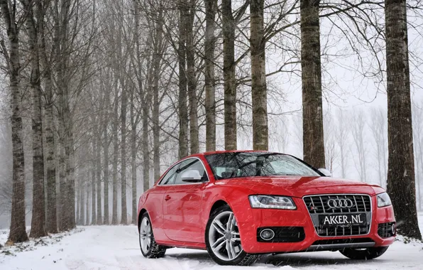 Winter, forest, snow, trees, red, Audi, Audi, red