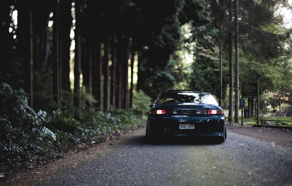 Picture forest, trees, Machine, Silvia, Nissan, Nissan, Tuning, Sylvia