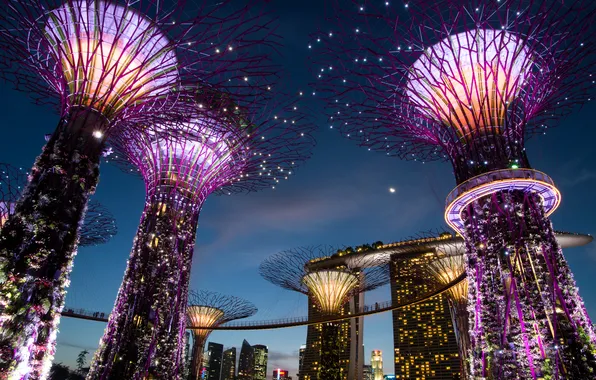 Picture night, design, lights, Singapore, structure, gardens, Gardens by the Bay