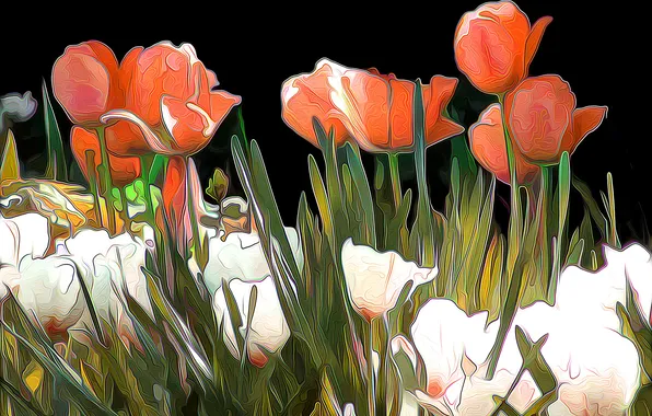 Picture line, abstraction, rendering, paint, tulips