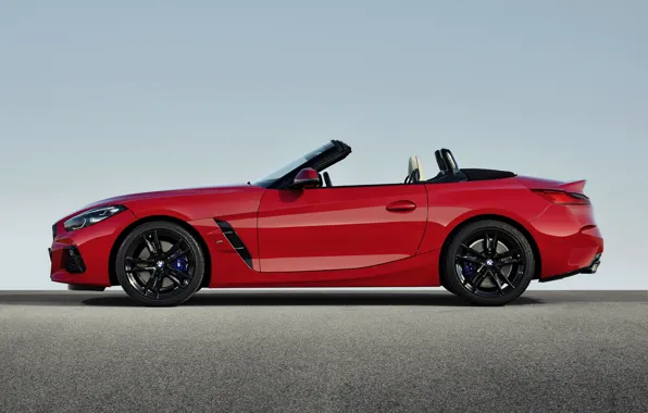 Picture red, BMW, profile, Roadster, BMW Z4, First Edition, M40i, Z4