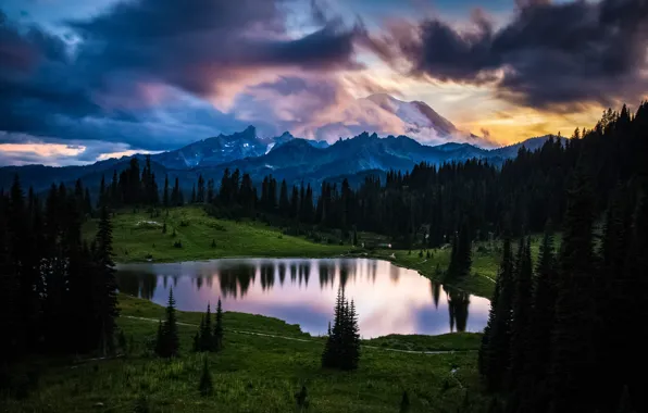 Forest, trees, landscape, mountains, clouds, nature, lake, USA