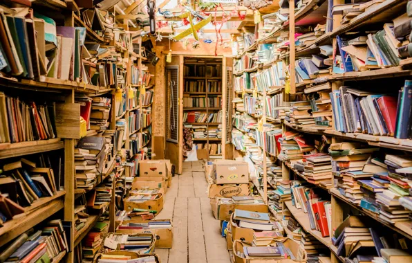 Books, library, Sunny, market, Kiev, bookseller, room books