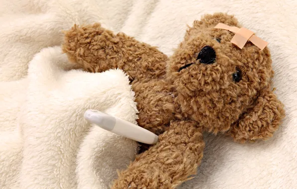 Picture toy, bear, blanket, thermometer, disease, soft, Band-aid