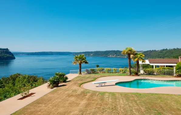 The sky, design, lake, palm trees, lawn, blue, pool, Washington