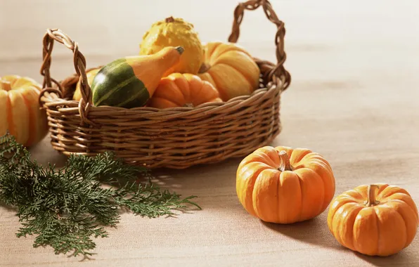 Picture table, basket, pumpkin