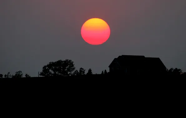 The sky, the sun, trees, sunset, home, silhouette