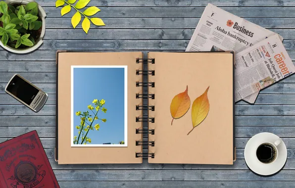 Leaves, table, photo, plant, coffee, Cup, Newspapers, Notepad