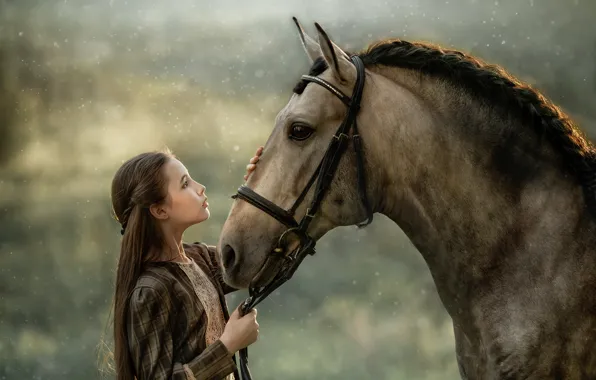 Horse, horse, friendship, girl