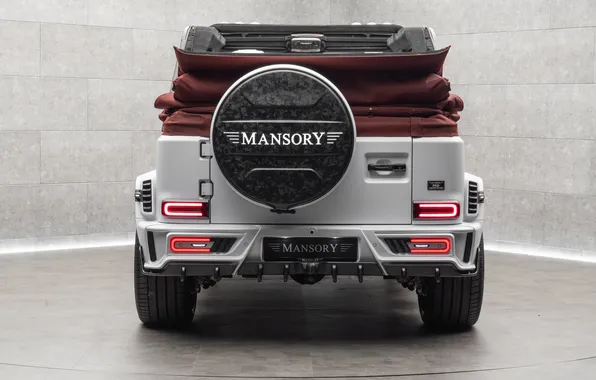 Mercedes, SUV, Mercedes, convertible, rear view, AMG, Mansory, SUV