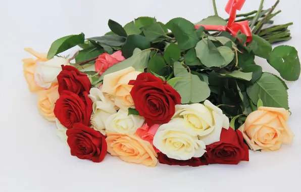 Picture background, roses, bouquet