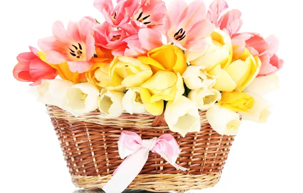 Picture flower, flowers, nature, basket, Tulip, bouquet, spring, tape
