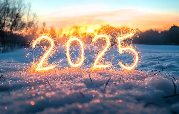 Forest, snow, sunset, sparks, figures, fireworks, year, sparklers